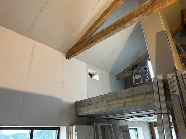 entreprise pour rénovation du mur en plâtre à Tassin-la-Demi-Lune